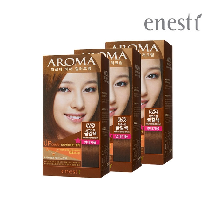 [뷰티페스타] 에네스티 아로마 염색약 3개 새치염색약 새치커버 셀프염색 남자새치커버 부분염색 새치염색 머리염색약 - 티몬