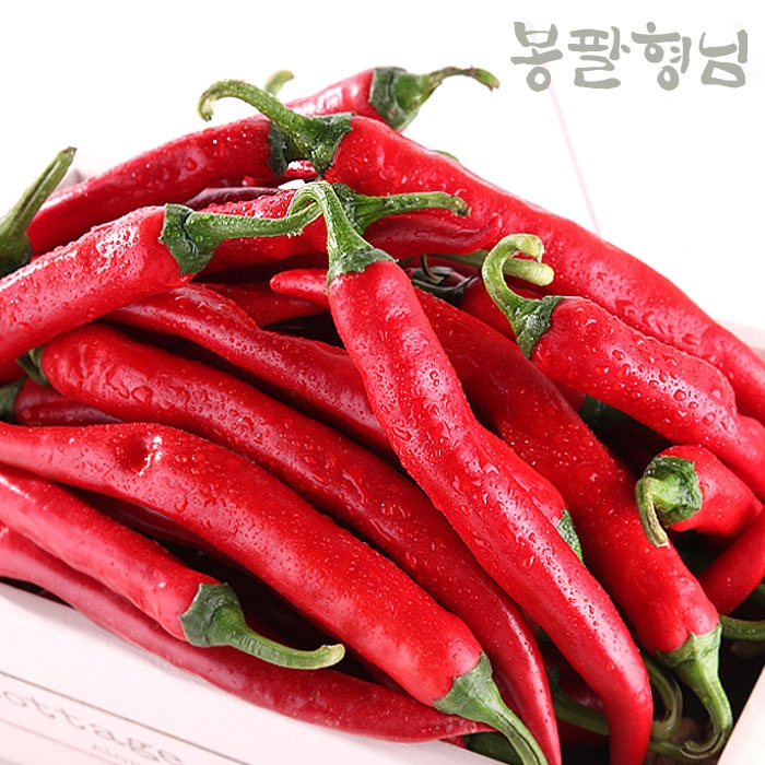 상품사진